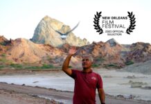 فیلم کوتاه «همدم» در مسیر اسکار فیلم کوتاه همدم