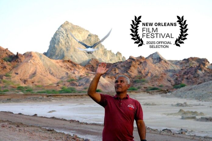 فیلم کوتاه همدم